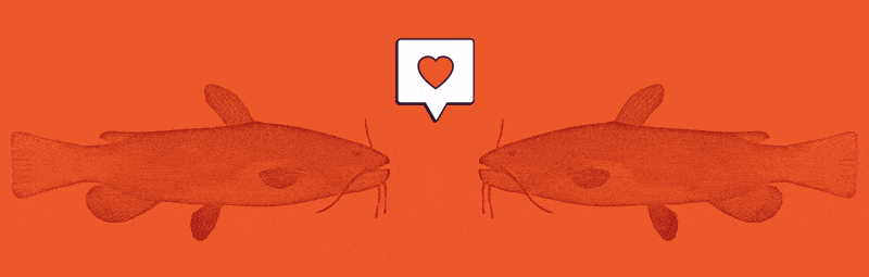 Stupp_2025_Win\-Back_LandingPage_Animation_v1